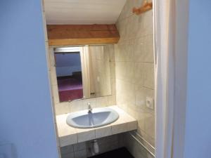 a bathroom with a sink and a mirror at Au Pied du Cognelot in Chalindrey