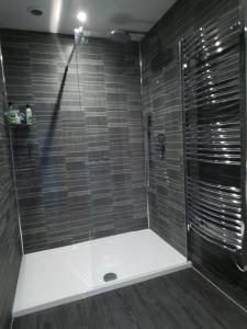 a bathroom with a shower with black tiles at Large double room with spacious ensuite in Southbourne
