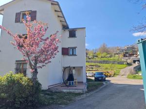 ein weißes Haus mit einem blühenden Baum davor in der Unterkunft BeB Le Masere in Madonna di Fornelli