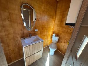 a bathroom with a sink and a toilet and a mirror at Glamping - Casuta Zen Fiad in Romuli