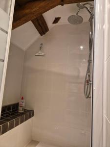 a shower stall in a bathroom with a ceiling at Le figuier in Benayes +12 photos
