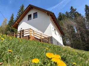 ein Haus auf einem Hügel mit einer Blumenwiese in der Unterkunft Bliżej do nieba in Istebna