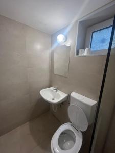 a bathroom with a toilet and a sink at Konak Vukojević in Šušanj +9 photos
