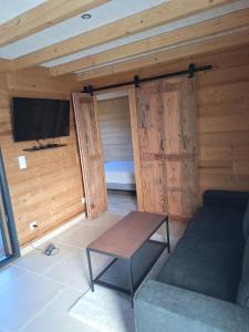 a room with a couch and a table and a tv at Chalet des Briseux in Saint-Maurice-sur-Moselle