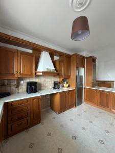 a large kitchen with wooden cabinets and a refrigerator at Meltemi Evia in Paralía