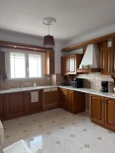 a kitchen with wooden cabinets and a sink at Meltemi Evia in Paralía