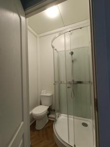 a bathroom with a toilet and a glass shower at Pas Alksnius in Rotuliai