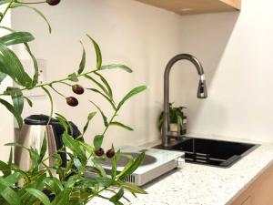 a kitchen counter with a plant and a sink at Uh Homestay Thảo Điền in Ho Chi Minh City