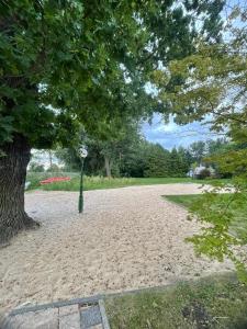 a park with a tree and a clock in the sand at Willa Sarenka in Radzyń