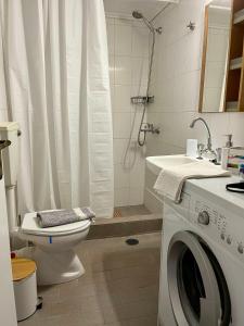 a bathroom with a toilet and a washing machine at Gaia Limnos Apartments 1 & 2 in Kornós +13 photos
