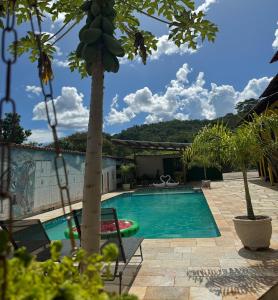 a swimming pool with a palm tree in a yard at Pousada Sunflower in Pirenópolis