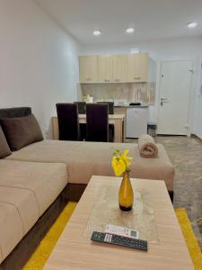 a living room with a couch and a table at Prenoćište SILVER LUX Srebrno Jezero in Veliko Gradište +10 photos