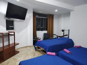 a bedroom with two beds and a flat screen tv at Matryoshka in Ica
