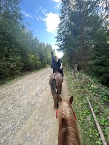 a person riding a horse down a dirt road at Osho house Karpaty in Ilʼtsya Dolishna