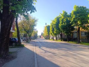 an empty street with trees on both sides of the road at Apartman Ljiljan in Sanski most