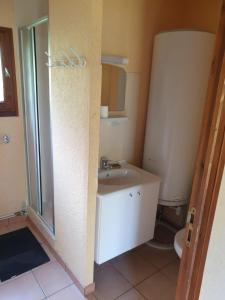 a bathroom with a sink and a shower at Le break vert in Lacapelle-Viescamp