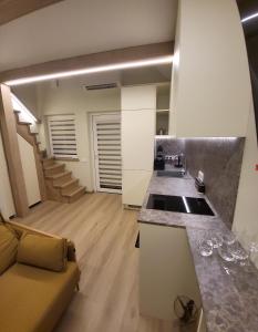 a kitchen and living room with a couch and a sink at Ežiukų rojus in Neringa