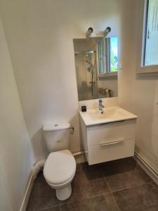 a white bathroom with a toilet and a sink at Studio Neuf et indépendant in LʼÉtang-la-Ville