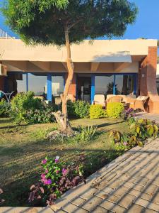 a house with a tree in front of it at Cosy Romantic Sea View Villa at a 5 Hotel in Sharm El Sheikh