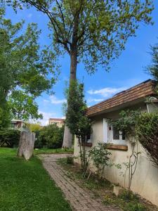 a house with a tree in front of it at Studio Neuf et indépendant in LʼÉtang-la-Ville