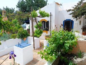 a white house with plants in front of it at Casa Algiana - Private Pool in Loulé