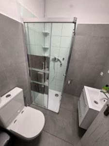 a bathroom with a shower and a toilet and a sink at Tatrabyt in Bánovce nad Bebravou