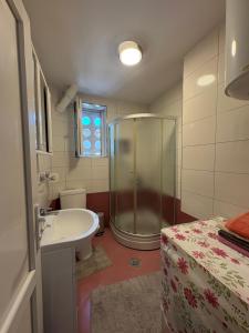 a bathroom with a shower and a sink and a tub at Al Centro in Peje