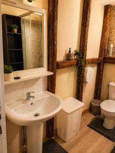 a bathroom with a sink and a toilet at Le logis Bressan-cosy-clim in Coligny
