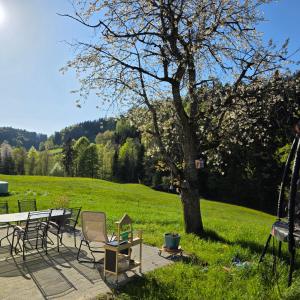 a table and chairs and a tree in a field at Einzigartige Schlafkojen in Herisau