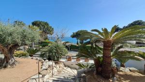 a group of palm trees in a park at Villa Jordana Urbapol One Step To The Beach in San Pol de Mar