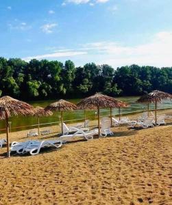 a group of chairs and umbrellas on a beach at Kincsem Vendégház in Tiszakécske