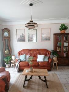 a living room with a leather couch and a coffee table at Chez Christine in Sarrancolin