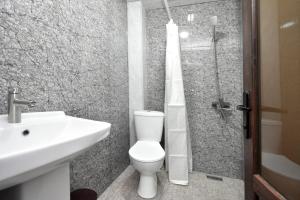 a bathroom with a toilet and a sink and a shower at free shuttle in Zvartnots International Airport
