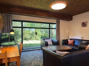 a living room with a couch and a table at Großes Ferienhaus fuer 8 Personen, Manderscheid in Manderscheid