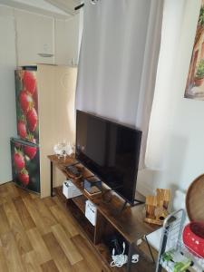 a living room with a flat screen tv on a wooden table at Chez François in Crouay