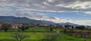 a green field with mountains in the background at Calm And Nature in Petra +6 photos