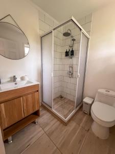 a bathroom with a shower and a toilet and a sink at Arriendo casa Caburgua Pucón in Caburgua +13 photos