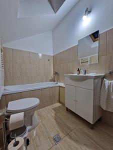 a bathroom with a toilet and a sink and a tub at Dixi Studio in Timişoara