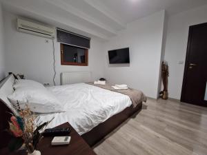 a bedroom with a bed and a table and a television at Dixi Studio in Timişoara