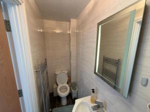 a bathroom with a toilet and a sink and a mirror at Relax In Belfast in Belfast