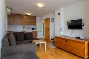 a living room with a couch and a flat screen tv at Pr' Sokrat in Radovljica