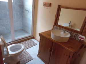 a bathroom with a sink and a toilet and a shower at Pecan Cottage Three in Machadodorp