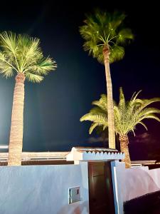 two palm trees in front of a building at Stone Villa in Chayofa
