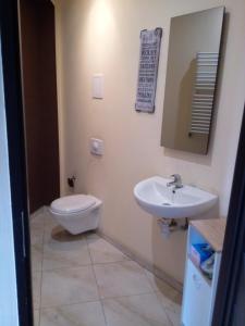 a bathroom with a toilet and a sink at TG Krakowska Kamienica in Tarnowskie Góry +12 photos