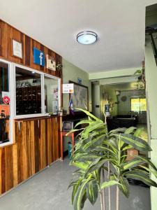 a room with a plant in the middle of a room at Caye Caulker Plaza Hotel in Caye Caulker