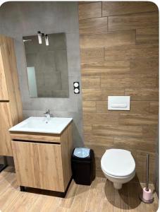 a bathroom with a sink and a toilet and a mirror at Logement centre ville in Saint-Dizier