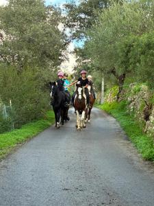 a group of people riding horses down a road at Quinta Martins in Loulé