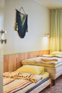 a group of three beds in a room at Metsa Hostel in Võsu