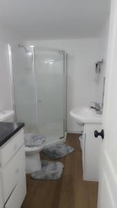a bathroom with a shower and a toilet and a sink at Beautiful Home for all in Moncton +11 photos