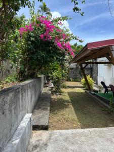 a garden with pink flowers on a bush at Maison Petit Paradis in Basse-Terre
